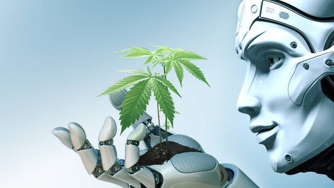 How AI can revolutionize the cannabis industry