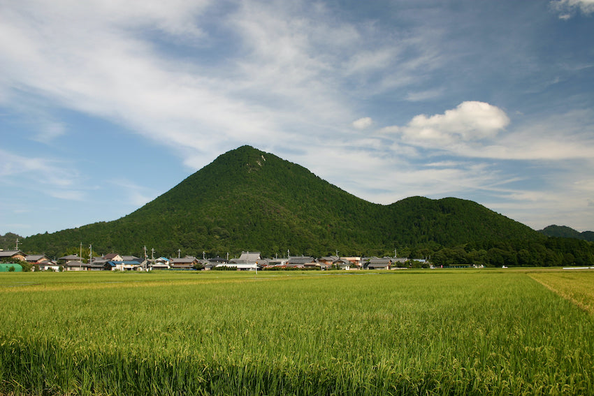 三上山