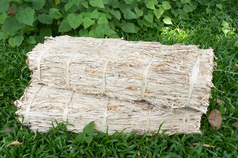 Bales of paper mulberry bark ready to be made into kozo washi paper