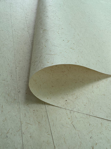 Folded Sugarcane Paper