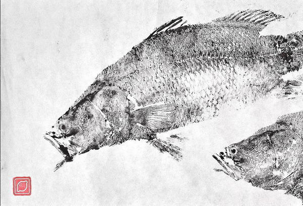 Giant sea perch / Barramundi Gyotagu Fish Printing by Lemon and Butter