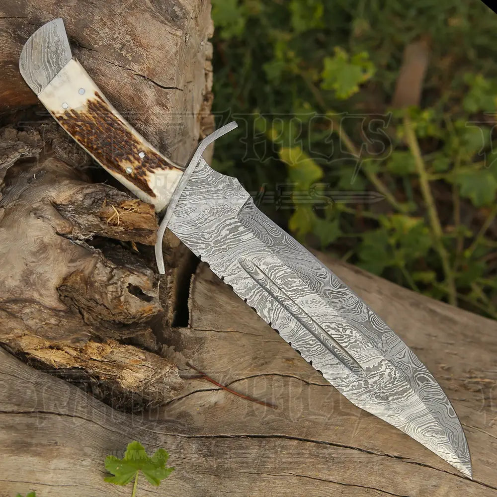 15" Handmade Damascus Steel Bowie Hunting Knife- Full Tang - Stag Antler Handle - Image 4
