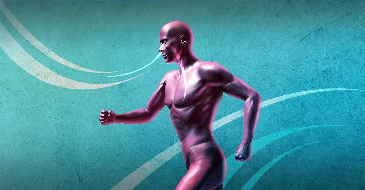 Breathe While Running deerrun