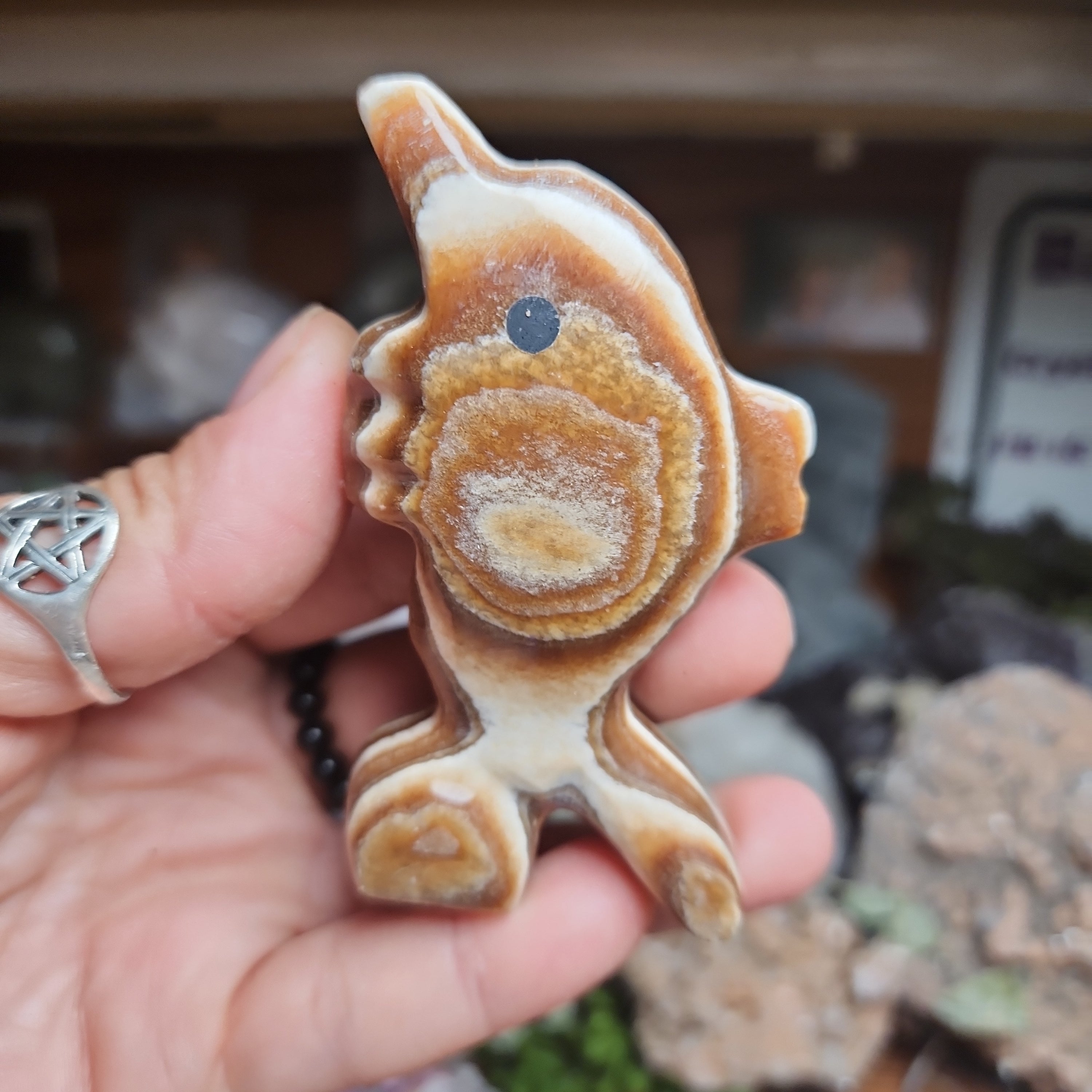 Brown Aragonite Dolphin