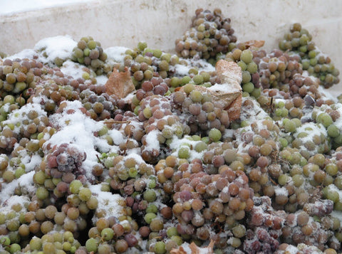 Frozen grapes for wine