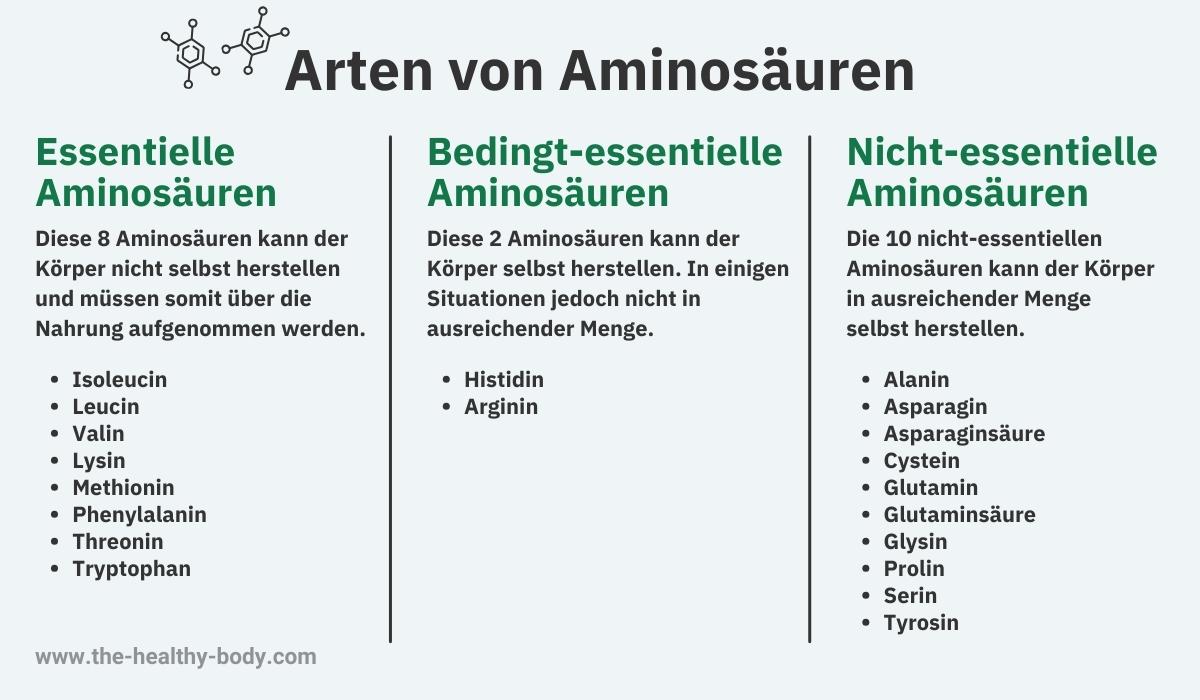 Arten von Aminosäuren in 3 verschiedene Untergruppen aufgeteilt.