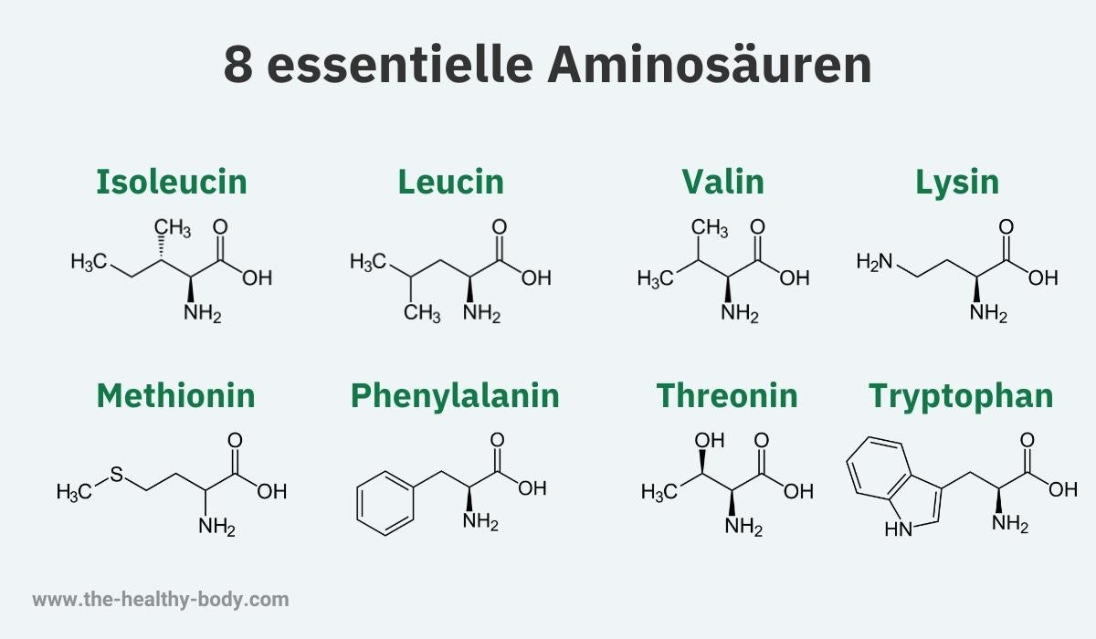 Die 8 essentiellen Aminosäuren in ihrer Chemischen Formel ausgeschrieben.