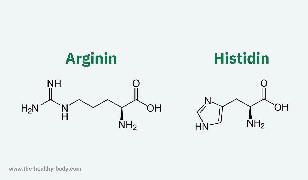 Die zwei semi-essenteillen Aminosäuren Arginin und Histidin in ihrer chemischen Formel abgebildet.