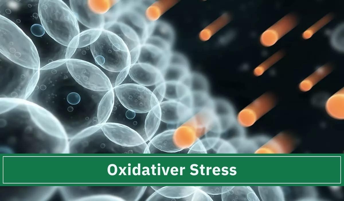 Gesunde Zellen. Bilde von oxidatives Stress.