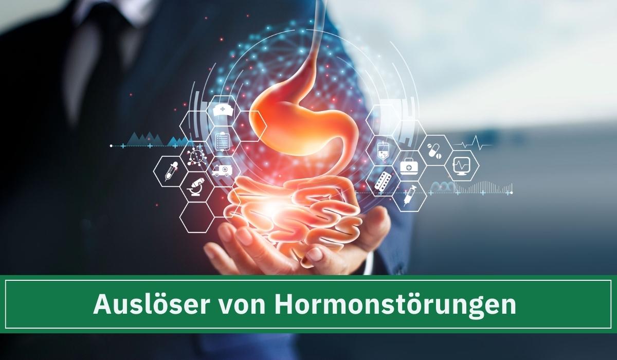 Ein Mann, der die Auslöser von Hormonstörungen aufzeigt.