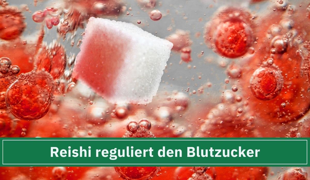 Zucker im Blut der von Reishi reguliert werden kann.