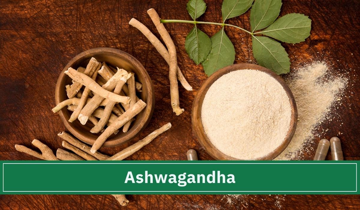 Das Adaptogen Ashwagandha oder auf Schlafbeere genannt liegt in Wurzelform und Pulver auf dem Tisch.