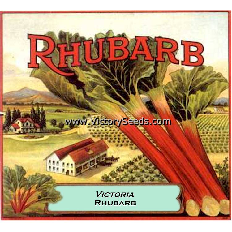 Rubarb Rubarb～“Victory Of Love”-