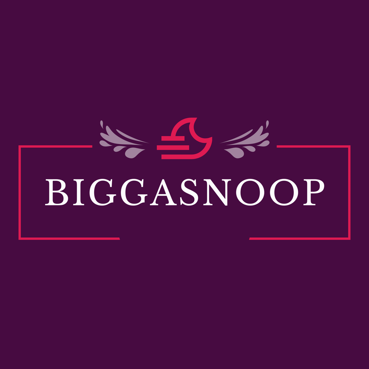 Biggasnoop