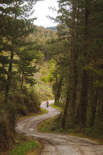 Cyclist on gravel road in the woods