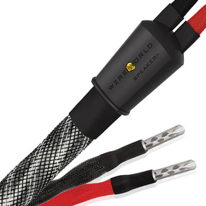 WireWorld Platinum Eclipse™ 10 Speaker Cable (pair) - Audio Solutions