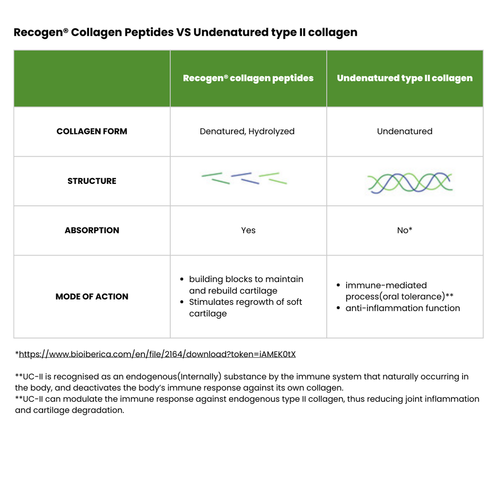 Recogen® Collagen Peptides VS Undenatured Type-II Collagen