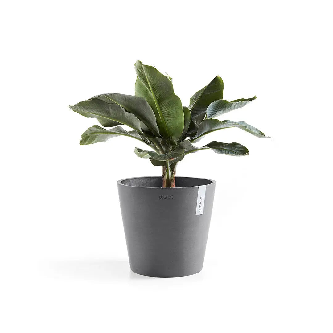 Plant Pot Leaf Smart Culture - Venice Ecopots Grey -