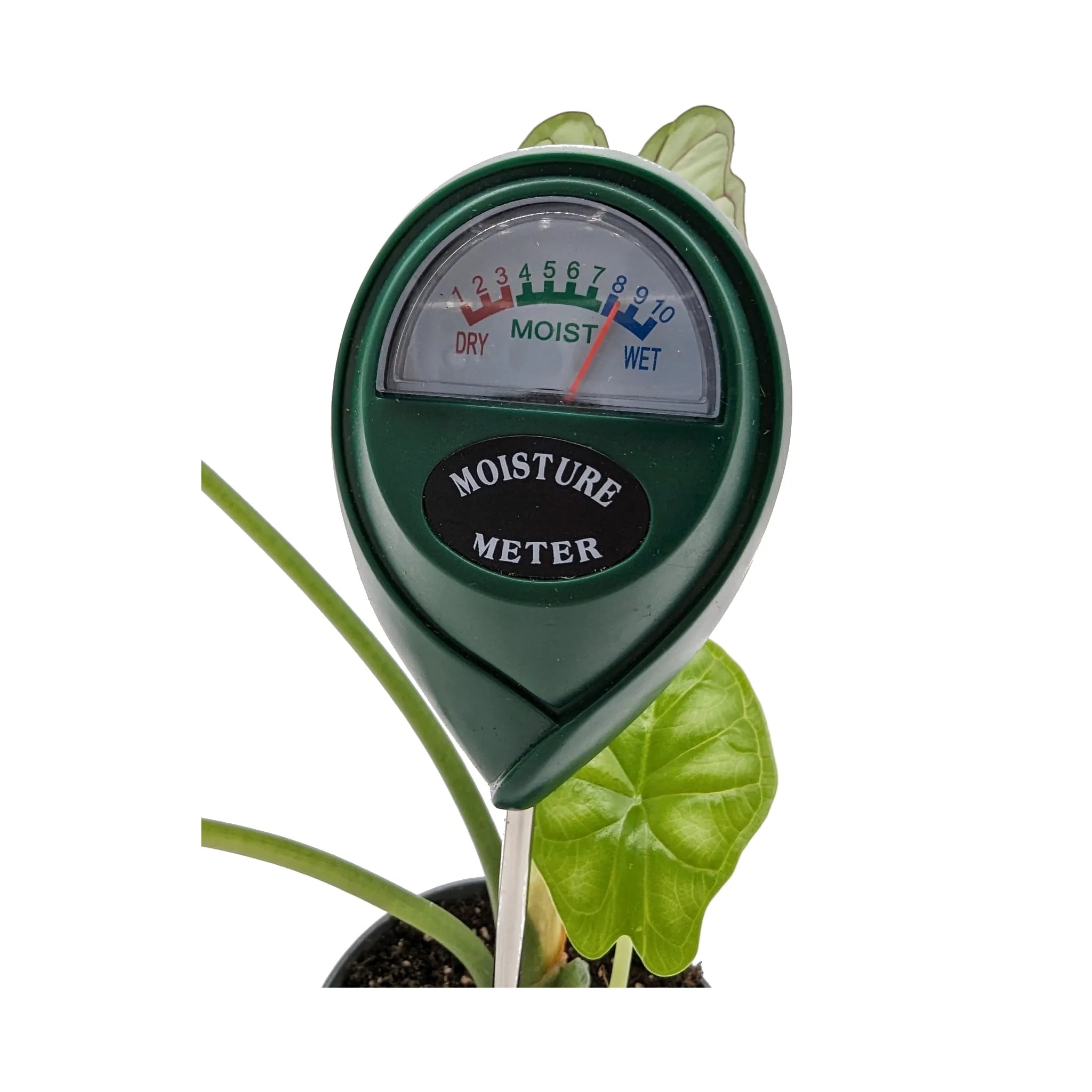 Leaf Culture Moisture Meter