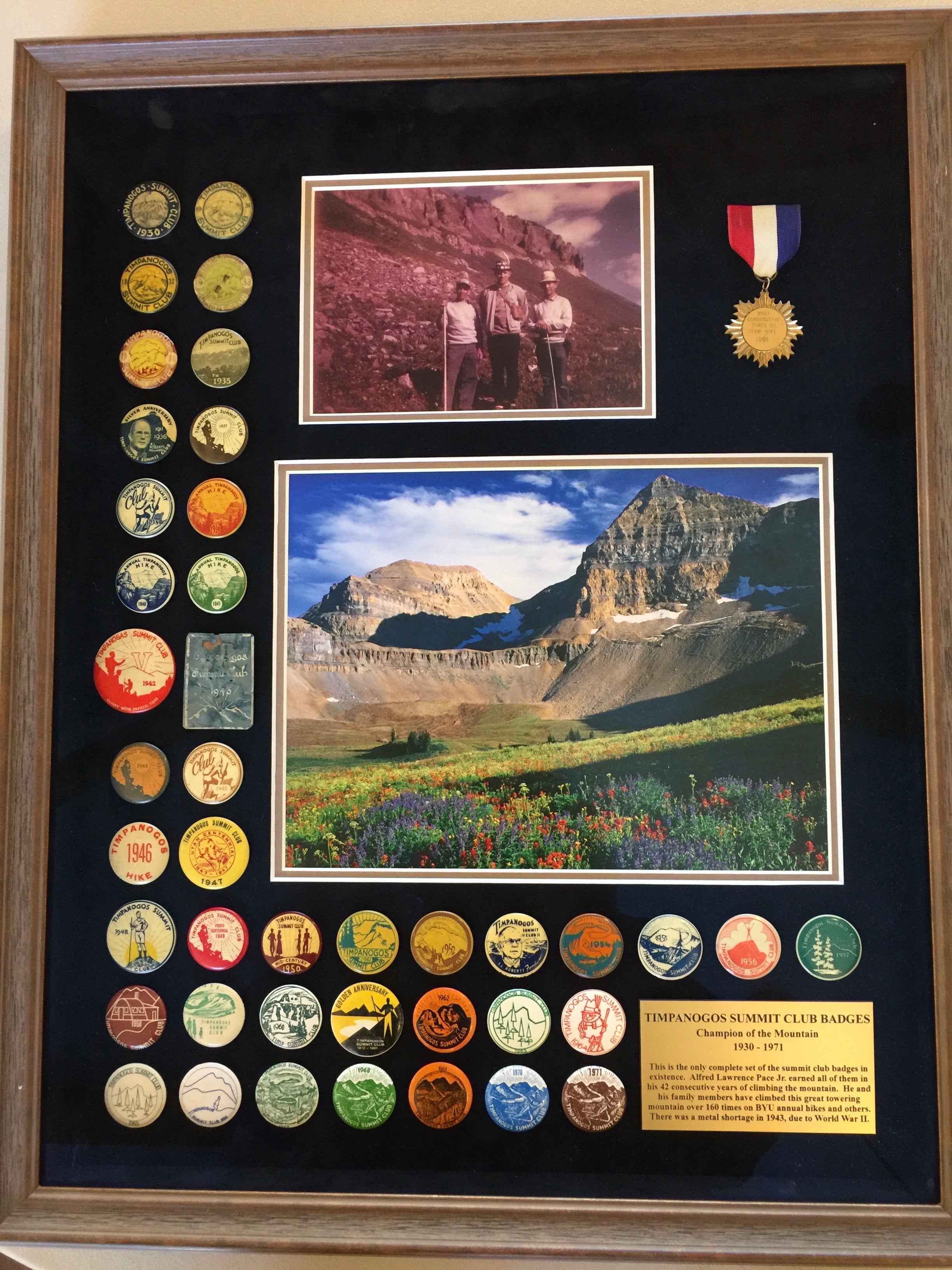 Original Timp Badge Collection 1930 to 1971