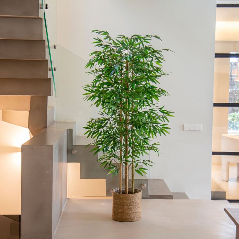 Plante Artificielles Bambou | Plante Design