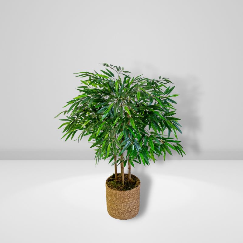 Plante Artificielles Bambou | Plante Design