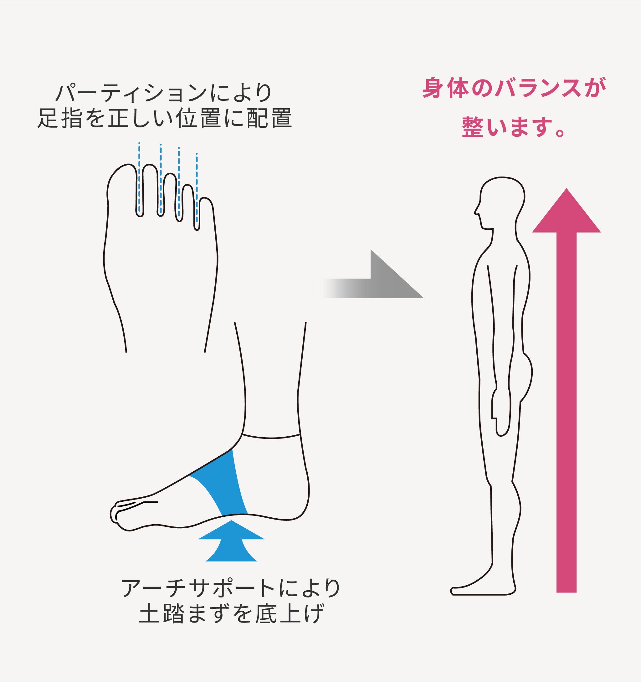 土踏まずを引き上げ、足底筋を保護することにより足の疲労を減らし、身体のバランスを整えます。