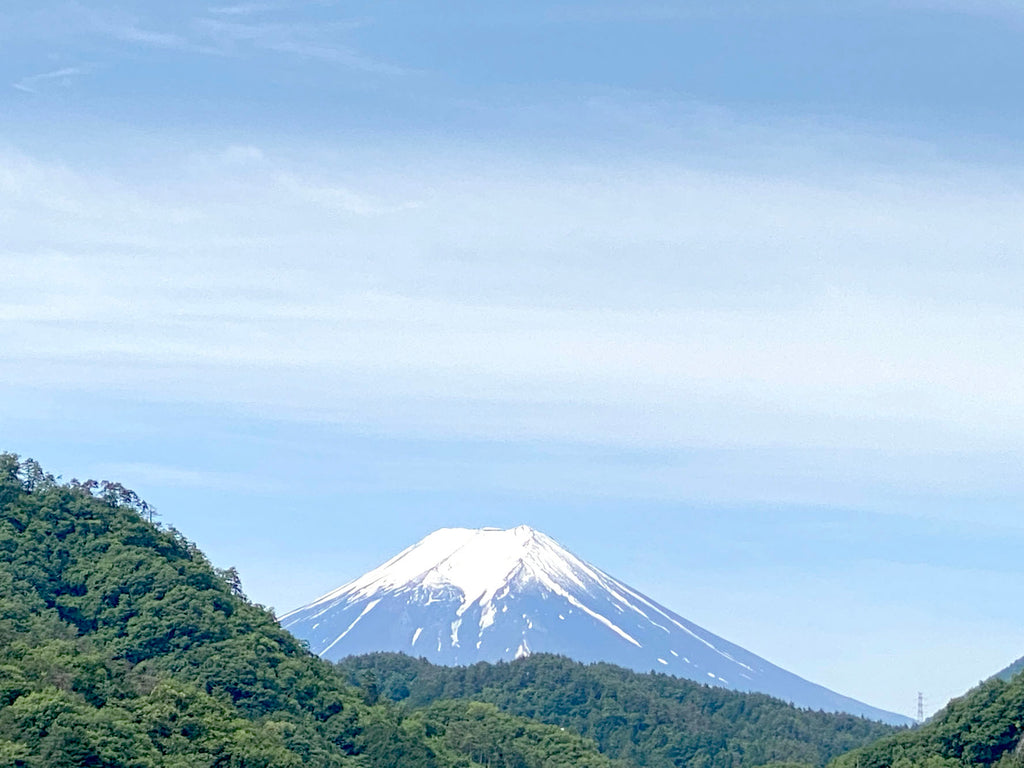 東京から甲府に車で移動したときに見えた富士山の風景
