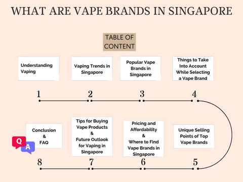 What-are-vape-brands-in-Singapore-infographic