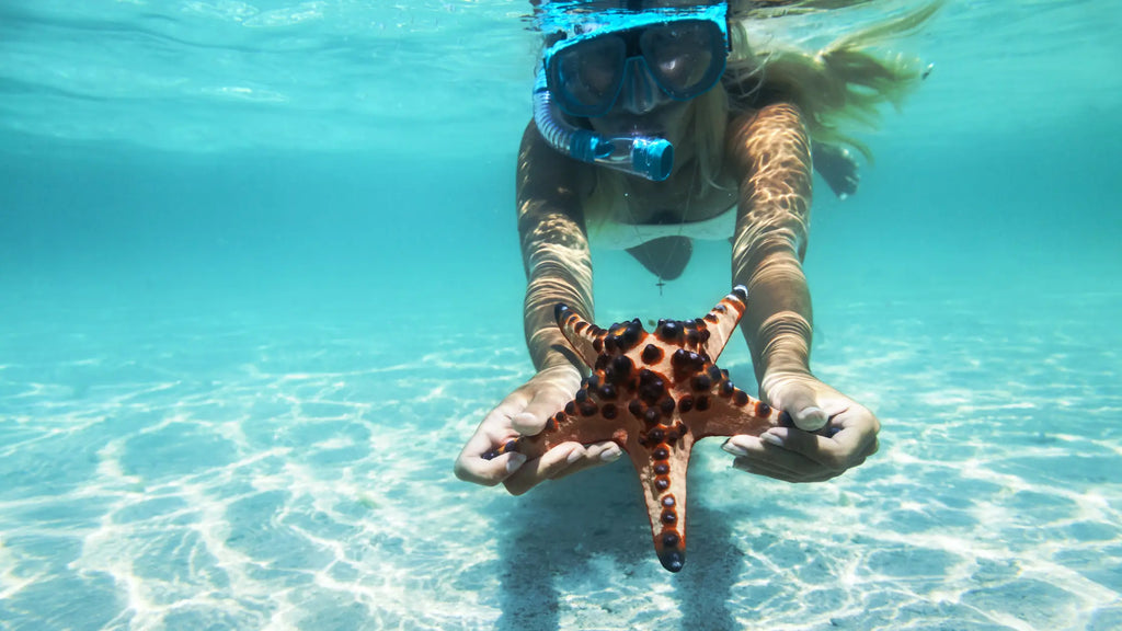 beauty snorkeling catch a starfish