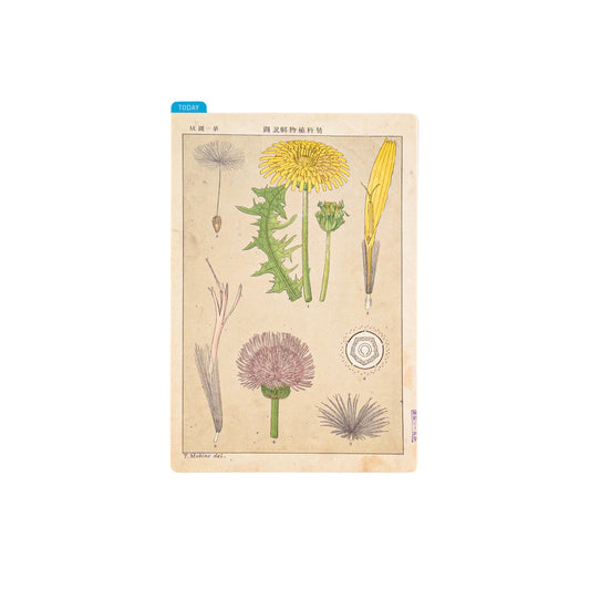 Hobonichi Techo Accessories Hobonichi Pencil Board - Weeks (Navy x Pink)