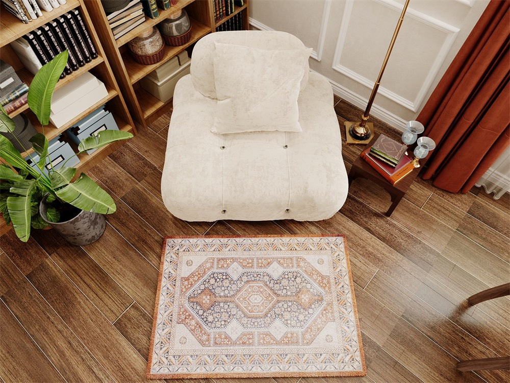 brown rugs in home room