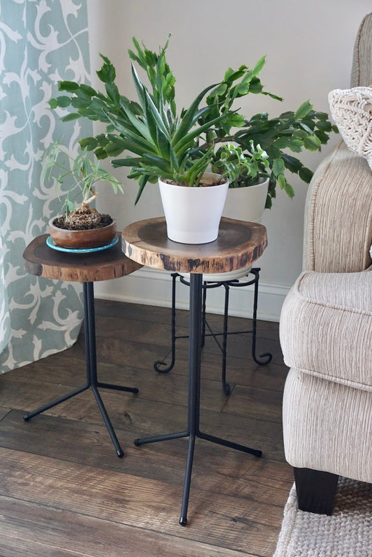 Live Edge Reclaimed Elm from OSU W/Tripod Base - Drink Table/Plant Sta –  Pure Grain Table Co.