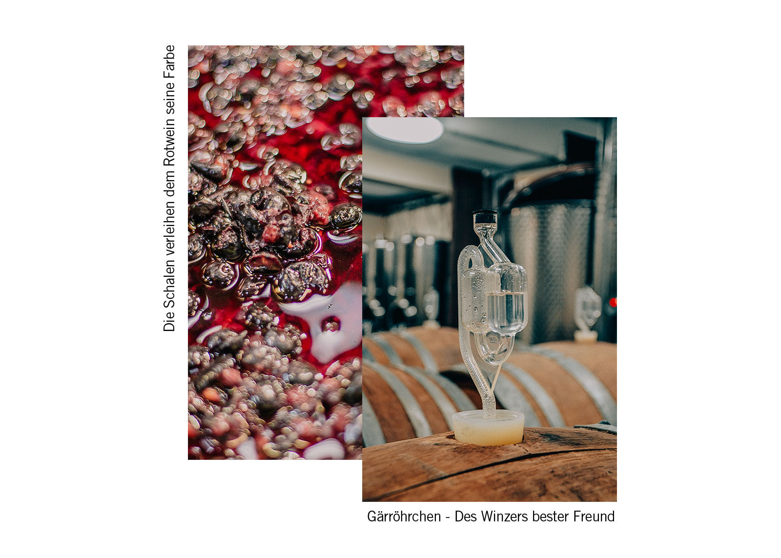 Weingut-Mario-Zelt_Die-Kunst-der-WEinherstellung_ein-Blick-auf-den-Prozess-hinter-gutem-Rotwein_Fermentation_Gährrörchen