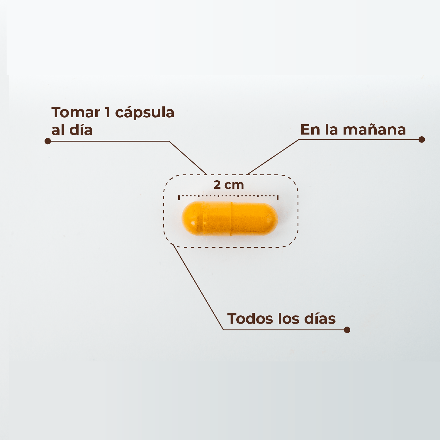 Cúrcuma + Pimienta negra