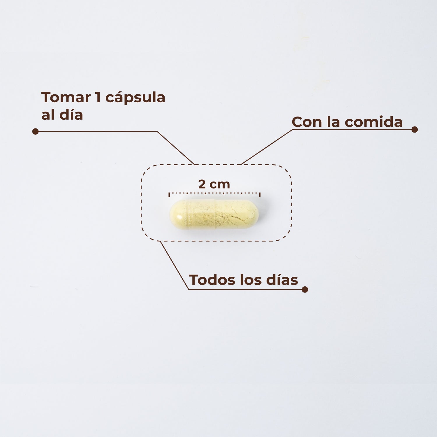 Trans Resveratrol + Quercetina