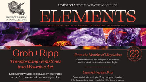 HMNS Elements Catalog Cover Image For Winter '22 Edition