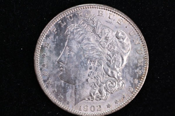 1901 Morgan Silver Dollar, Very Fine Circulated Coin, Store #13629