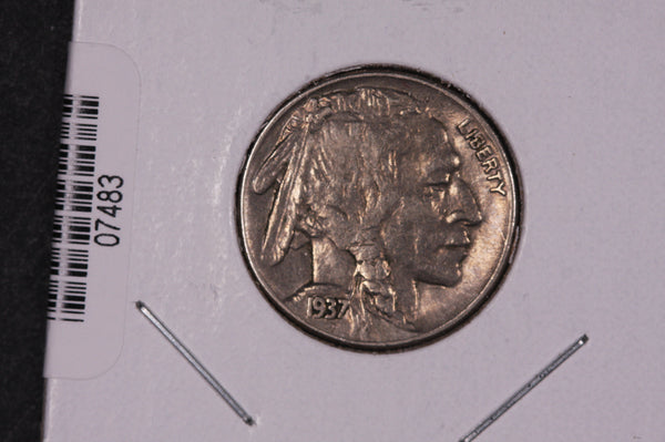 1928-P Buffalo Nickel  The Coin Shop Grade Average Circulated