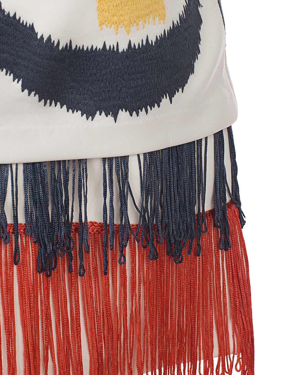 The Fringe Border Mini Dress