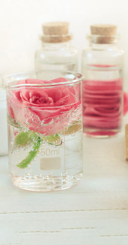 Rose and water