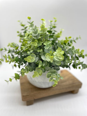 fake plant, faux eucalyptus, premium artificial potted plants, by AllSeasonsHouseDecor