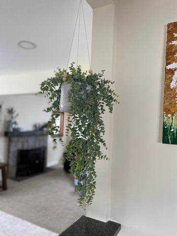 hanging plant