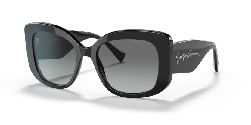 GIORGIO ARMANI AR8150 5001 signature