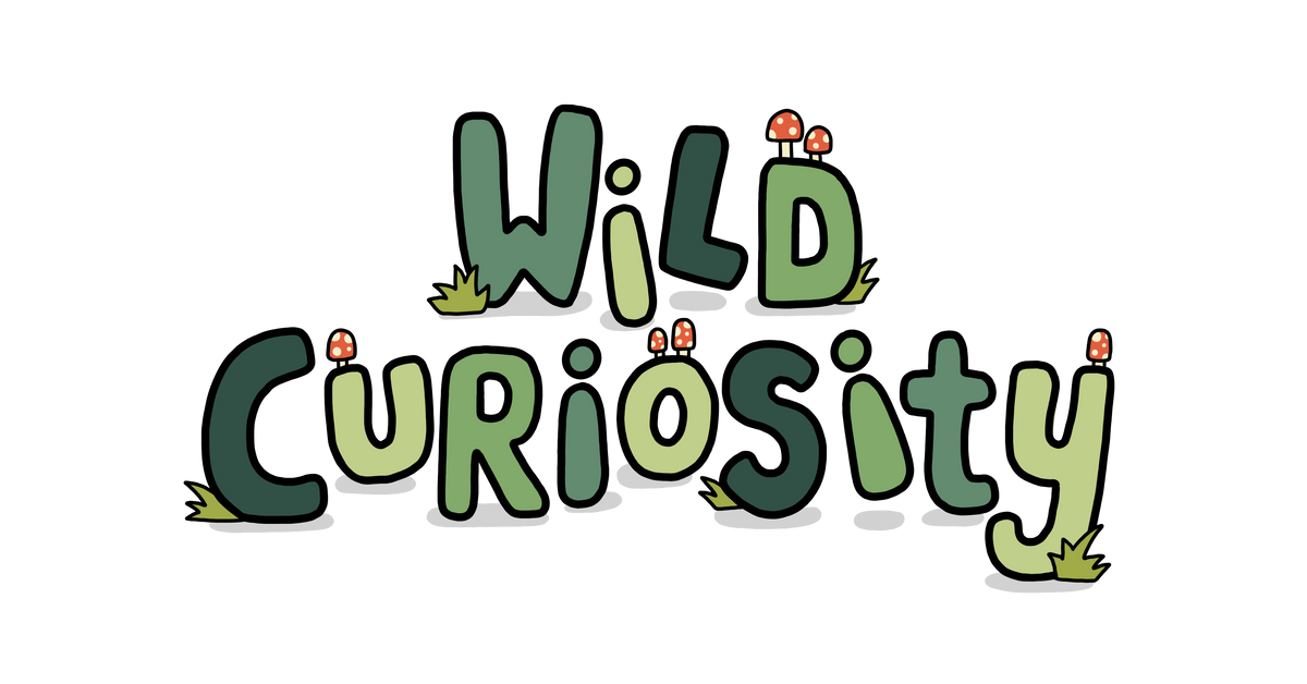 wild-curiosity