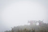 Guerrillas in the mist, Mt Oxford, Canterbury. Photo: Caleb Smith