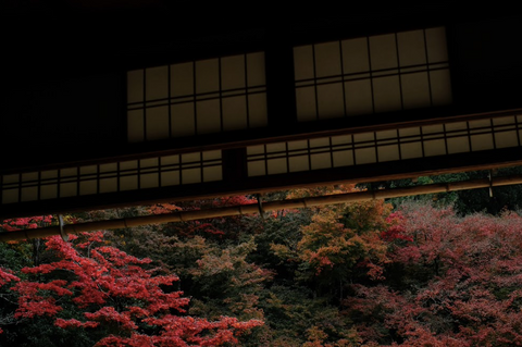 Joe Keating autumn in Kyoto picture