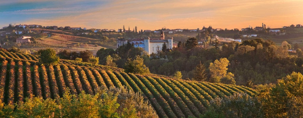 Braida Montebruna Barbera d'Asti DOCG 2016_Braida_Red wine_Barbera