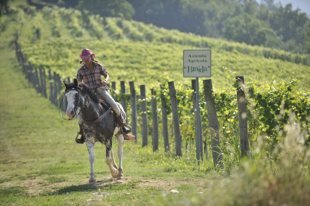 Braida Montebruna Barbera d'Asti DOCG 2016_Braida_Red wine_Barbera