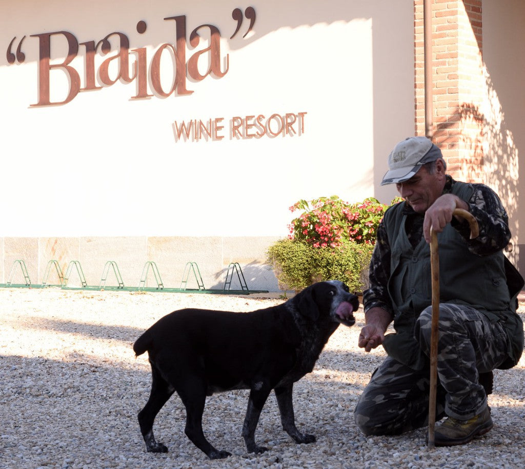 Braida Barbera︱Bricco Uccellone Barbera d'Asti DOCG 2008_Braida_Red wine_Barbera